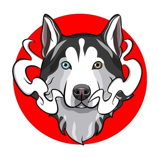 Telegram profile photo for Shinobu Inu | PORTAL 🥷🏿