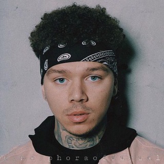 Telegram profile photo for Phora
