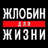 Telegram profile photo for Жлобин Для Жизни