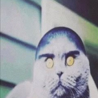 Telegram profile photo for arkale