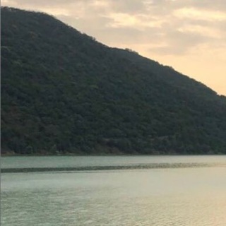 Telegram profile photo for Домики в абрау 89094202173