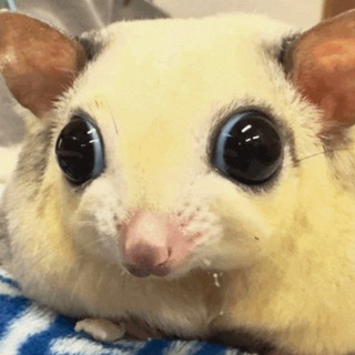 Telegram profile photo for Застрелили мужчину