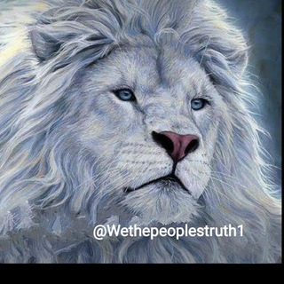 Telegram profile photo for Wethepeoplestruth
