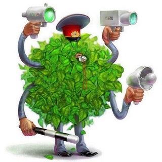Telegram profile photo for Дорожная обстановка 03