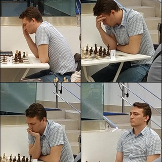 Telegram profile photo for Шахматное_педагогическое