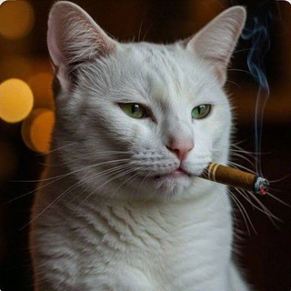 Telegram profile photo for NOVA TRUSTED