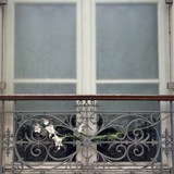 Telegram profile photo for five string serenade