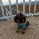 Telegram profile photo for YUFİ