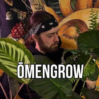 Telegram profile photo for 🌿 ŌMENGROW