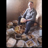 Telegram profile photo for 🍯🍯عسل طبیعی تضمینی بومی مرزاباد(سبد بالی )🍯🍯