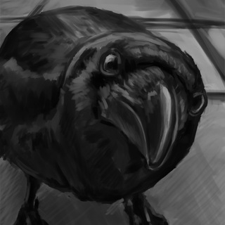 Telegram profile photo for Dev Charlie