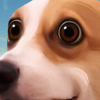 Telegram profile photo for SUNDOG MEMES