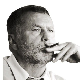 Telegram profile photo for VOLFOVICH PORTAL | ZHIRINOVSKlY MEMES