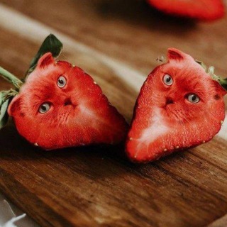 Telegram profile photo for кисель клубнични