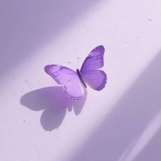 Telegram profile photo for الحَسنـي 💜