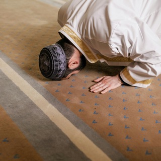 Telegram profile photo for QURAN