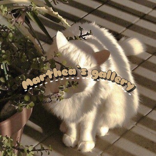 Telegram profile photo for Marthea`s gallery