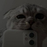 Telegram profile photo for κ―π»κ―πͺ ππ¨π―π’π² πππ§π π’π³ πͺοΈκ―πΏκ―β’κ―βπ¦