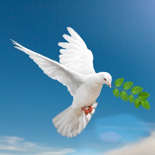 Telegram profile photo for Галина Царёва (официальный)