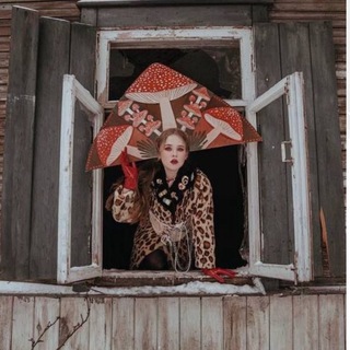 Telegram profile photo for Они захватили особняк 2025