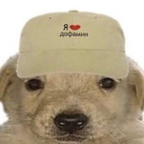 Telegram profile photo for Шиномонтаж