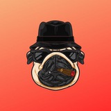 Telegram profile photo for PugFather Announcements
