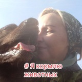 Telegram profile photo for Вертихвостики