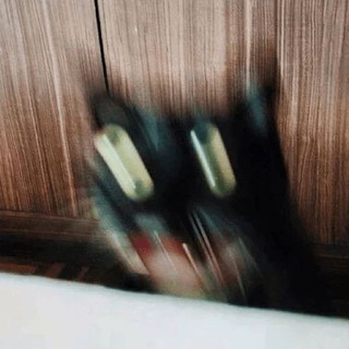 Telegram profile photo for Шиза Діми