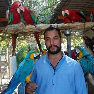 Telegram profile photo for اصفهان پرنده (کلی)