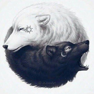 Telegram profile photo for ꦿŞΔβ€Ř ĐØ ҉ Ş ŁØβØ᬴⃝Ş🐺