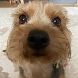 Telegram profile photo for Микки, но не Маус🫶🏻🎀