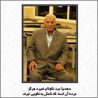 Telegram profile photo for Mehdi Bouyeh Chess Foundation