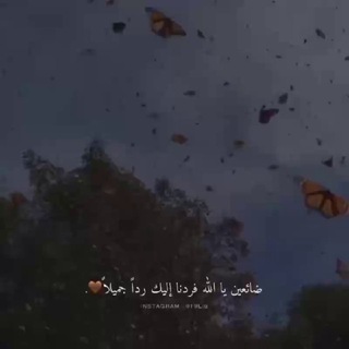 Telegram profile photo for أرح سَـمـعِـكَ بِـالـقُـرآنْ💛🌿 ▷── 00:4