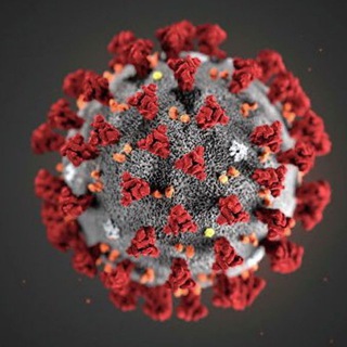 Telegram profile photo for Koronavirus Info