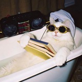 Telegram profile photo for ☽◯☾ Кошичкины мемории ☽◯☾