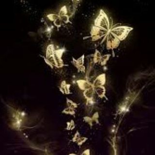 Telegram profile photo for ادمین تبادلات 🌺پروانه