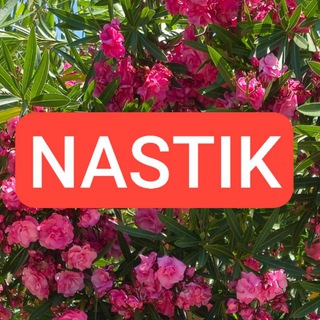 Telegram profile photo for Блогеры @Nastik_kru