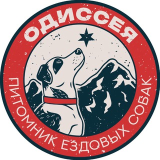 Telegram profile photo for ОДИССЕЯ🐾дневник каюра