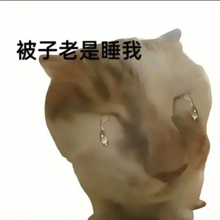Telegram profile photo for 旭久云寄售