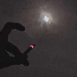 Telegram profile photo for πΈ π π π π π π π π.