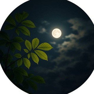 Telegram profile photo for أثر