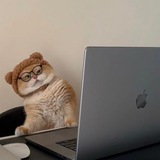 Telegram profile photo for Design & It Memes