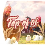 Telegram profile photo for 🐣𝗧𝗈𝗉 𝗈𝗳 𝗈𝗶``