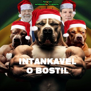 Telegram profile photo for INTANKAVEL O BOSTIL