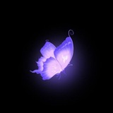 Telegram profile photo for ﭬـــيـــــولا 🔮.