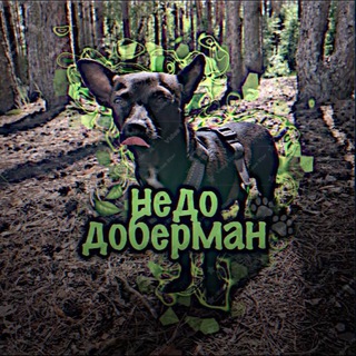 Telegram profile photo for 🍃недо доберман👀