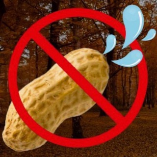 Telegram profile photo for $NONUT Portal