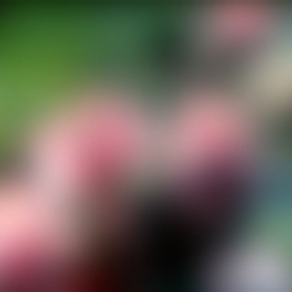 Telegram profile photo for ׄ ꒰ ֶ֢ ℂ𝗵𝒊𝗽𝕤y ۫ 𝅄 𔓕