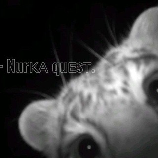 Telegram profile photo for — Nurᴋᴀ quᴇsᴛ.