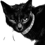 Telegram profile photo for 𝘏𝘢𝘳𝘥𝘦𝘴𝘵 𝘵𝘰 𝘭𝘰𝘷𝘦